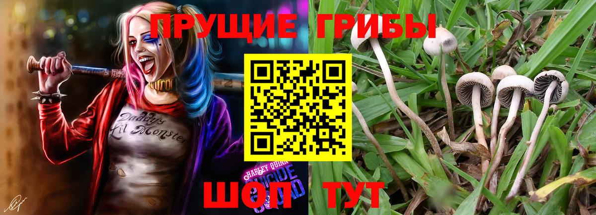 Псилоцибиновые грибы GOLDEN TEACHER  Псилоцибиновые грибы ЛСД  Вход с VPN  Красноярск 